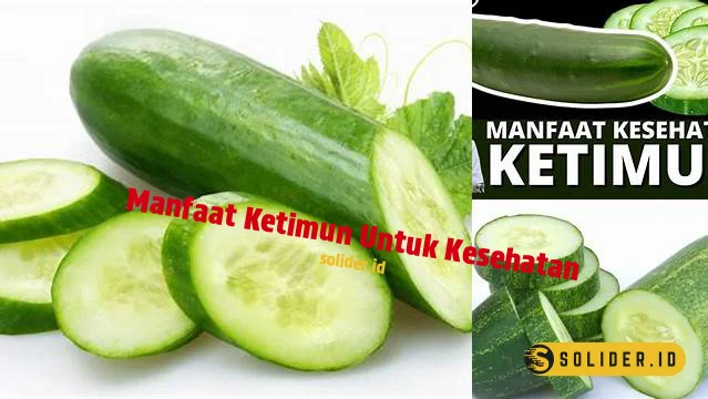 Temukan Manfaat Ketimun yang Jarang Diketahui untuk Kesehatan