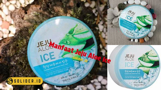 Temukan 7 Manfaat Jeju Aloe Ice yang Jarang Diketahui